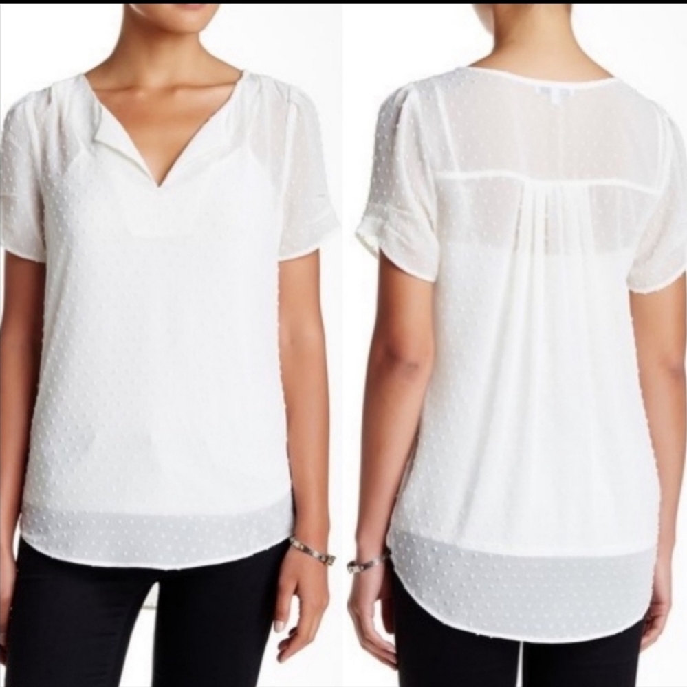 DR2 Daniel Rainn Swiss Dot Sheer White Blouse, Size Medium